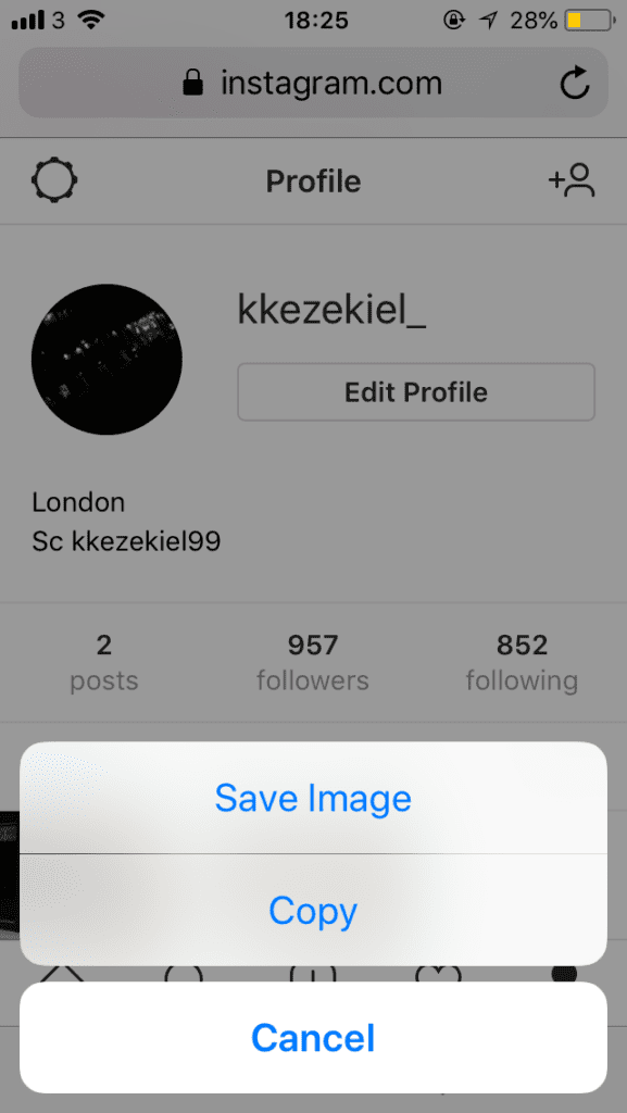 Download profile pic from instagram