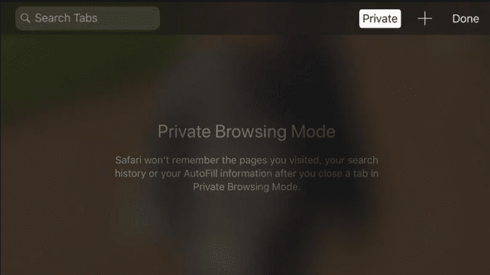 How to View Private Browsing History in Safari iPhone - 97