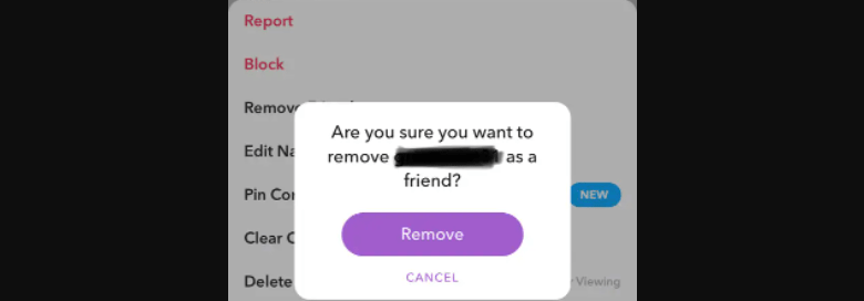 How To Remove Multiple Snapchat Friends At Once - Techzillo