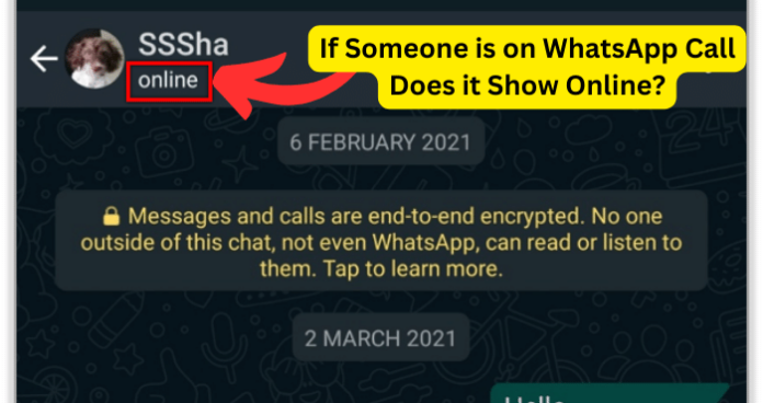 If Someone is on WhatsApp Call Does it Show Online?
