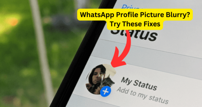 WhatsApp Profile Picture Blurry