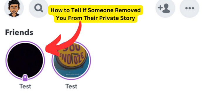 How to Tell if Someone Removed You From Their Private Story