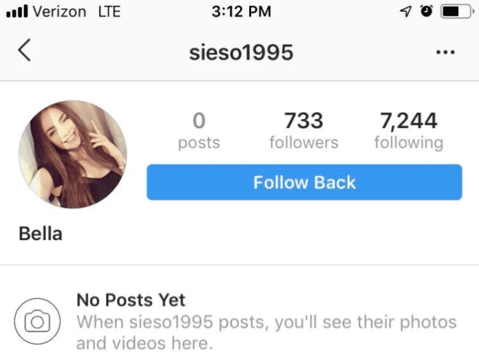 Instagram Post Count is Wrong