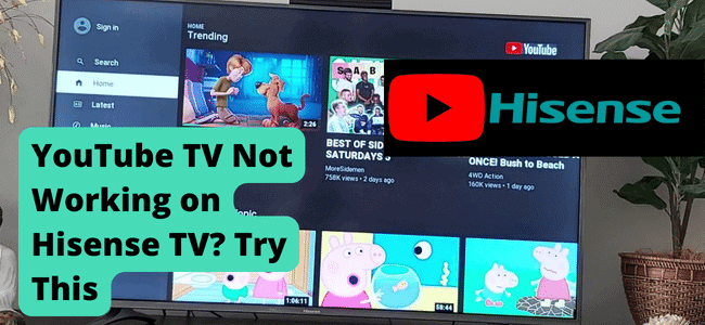 YouTube Not Working Hisense TV