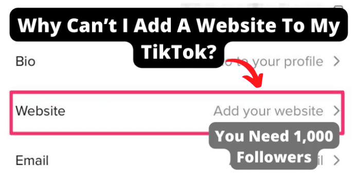 Why Can’t I Add A Website To My TikTok