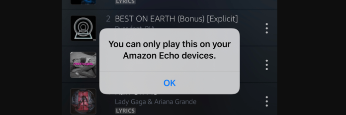 You Can Only Play This On Your Amazon Echo Devices