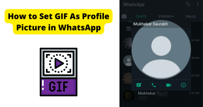 How to Set GIF As Profile Picture in WhatsApp - Techzillo
