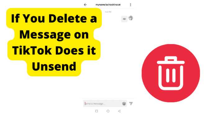 If You Delete a Message on TikTok Does it Unsend
