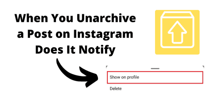 When You Unarchive a Post on Instagram Does It Notify
