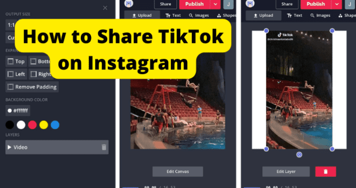 How to Share TikTok on Instagram