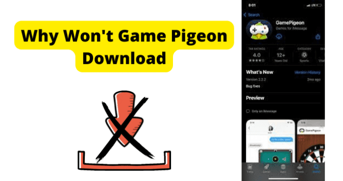 Why Won t Game Pigeon Download - 77