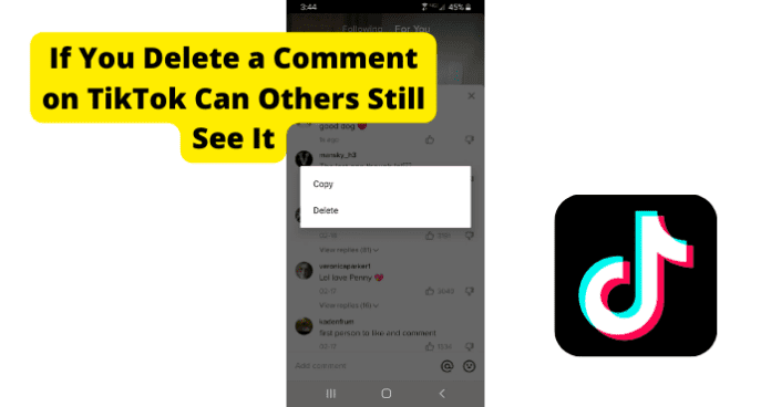 If You Delete a Comment on tiktok Can Others Still See It