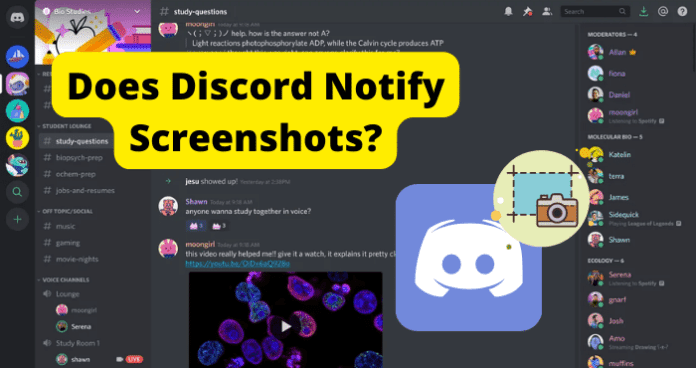 Does Discord Notify Screenshots?