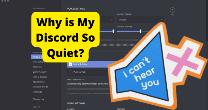 Why is My Discord So Quiet?