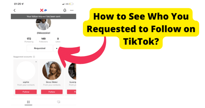 How to See Sent Follow Request on TikTok