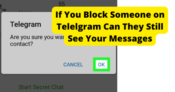 If You Block Someone on Telelgram Can They Still See Your Messages