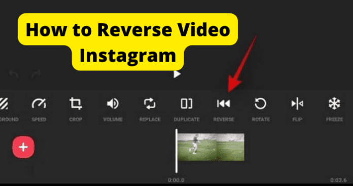 How to Reverse Video Instagram