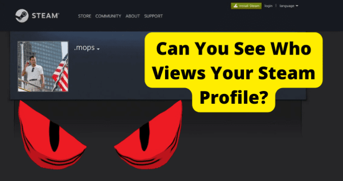 Can You See Who Views Your Steam Profile?