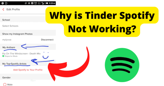 Tinder Spotify Not Working