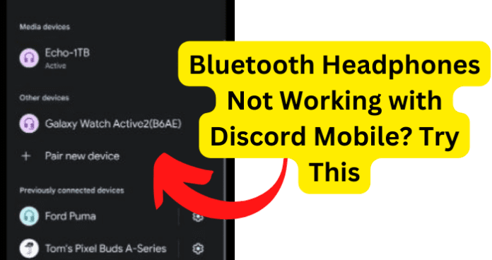 Bluetooth Headphones Not Working with Discord