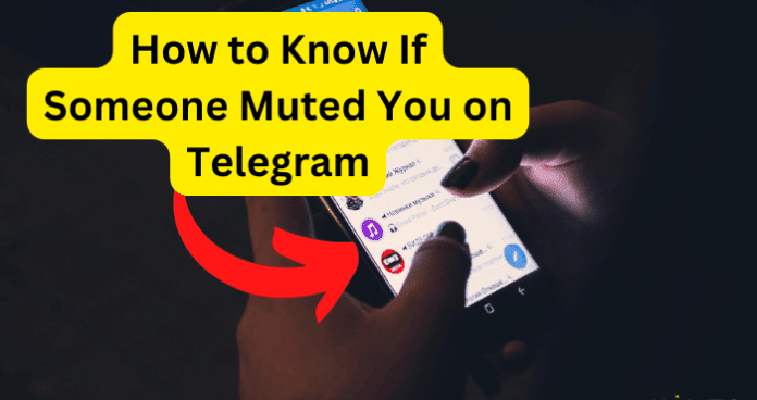 How to Know If Someone Muted You on Telegram
