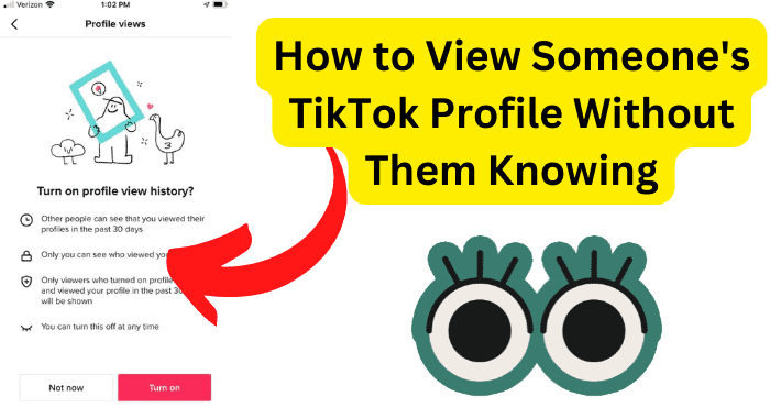 How to View Someone's TikTok Profile Without Them Knowing