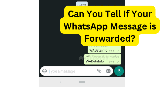 Can You Tell If Your WhatsApp Message is Forwarded?