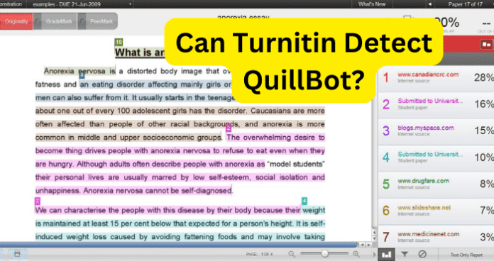 Can Turnitin Detect QuillBot  - 96