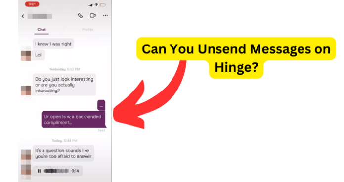 Can You Unsend Messages on Hinge?
