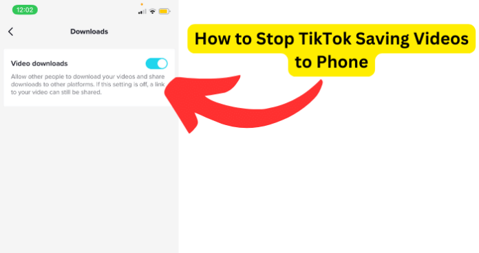 How to Stop TikTok Saving Videos to Phone