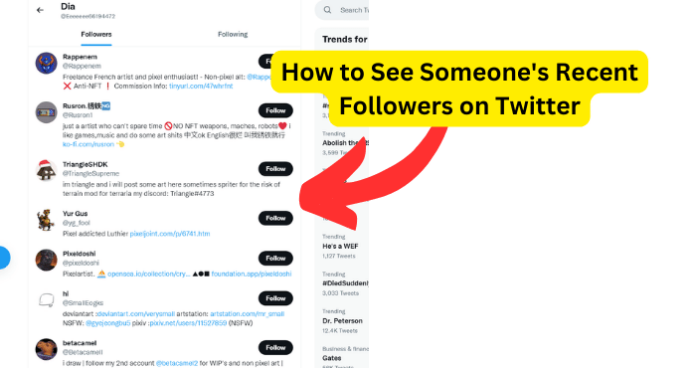 How to See Someone's Recent Followers on Twitter