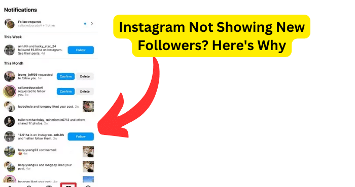 Instagram Not Showing New Followers