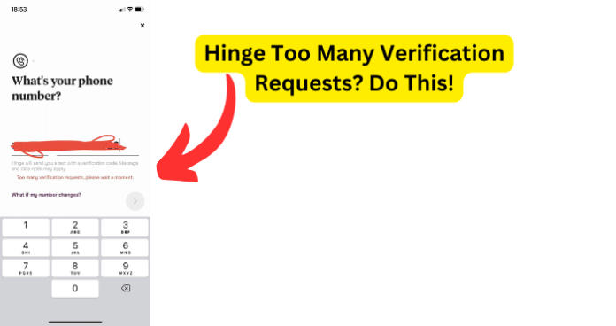 Hinge Too Many Verification Requests