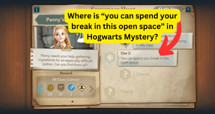 Where is “you can spend your break in this open space” in Hogwarts Mystery?